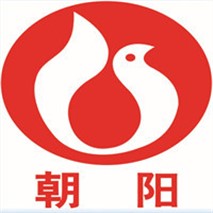 朝陽(yáng)泵業(yè)QZ軸流、QH混流潛水電泵